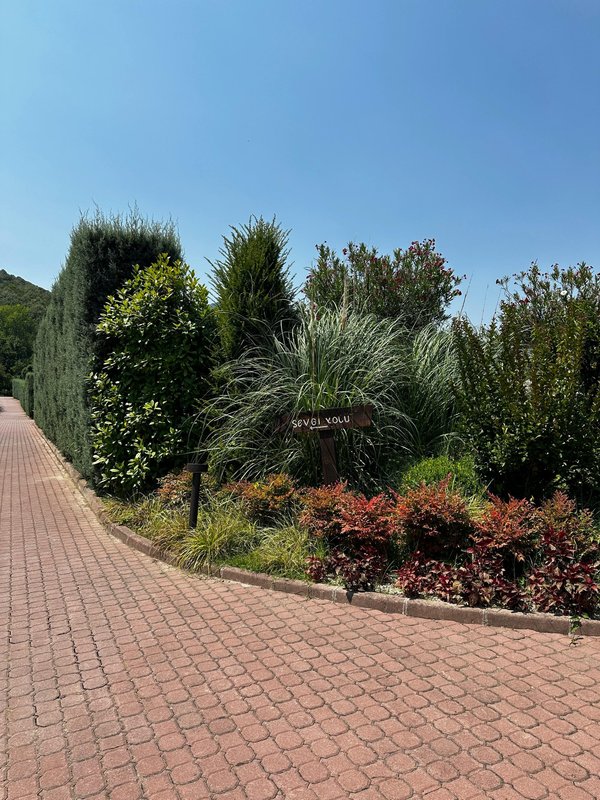 Transform your outdoor space with garden design in tunbridge wells